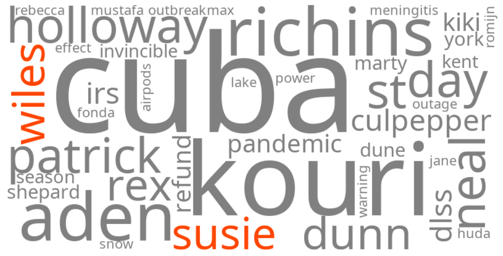 susie wiles