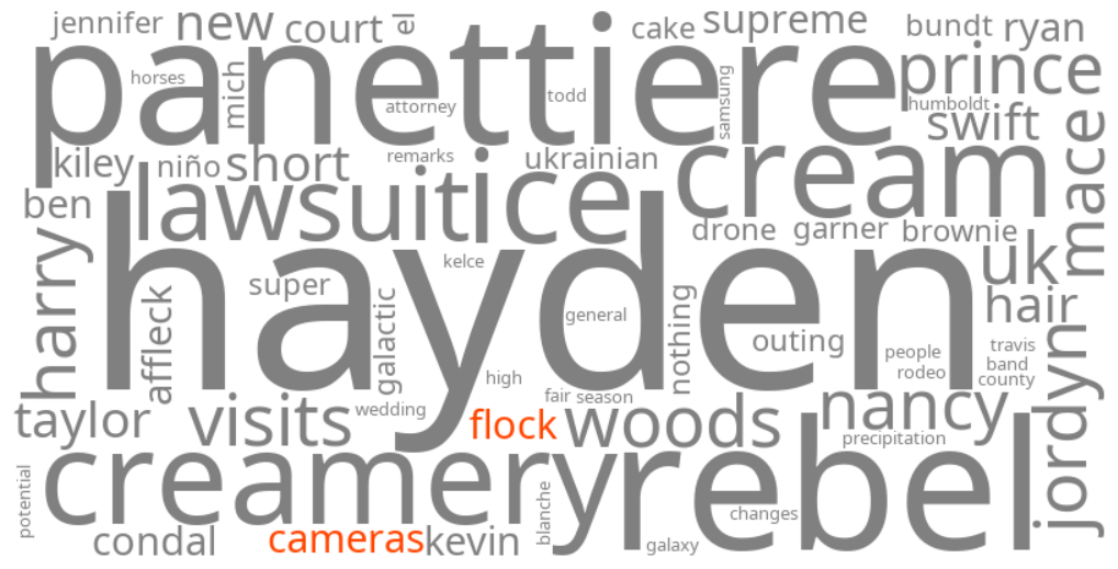 flock cameras